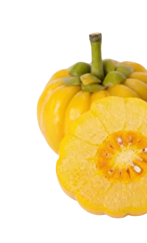 Garcinia cambogia