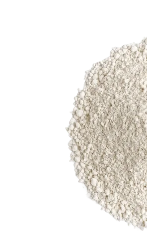 L-Carnitine